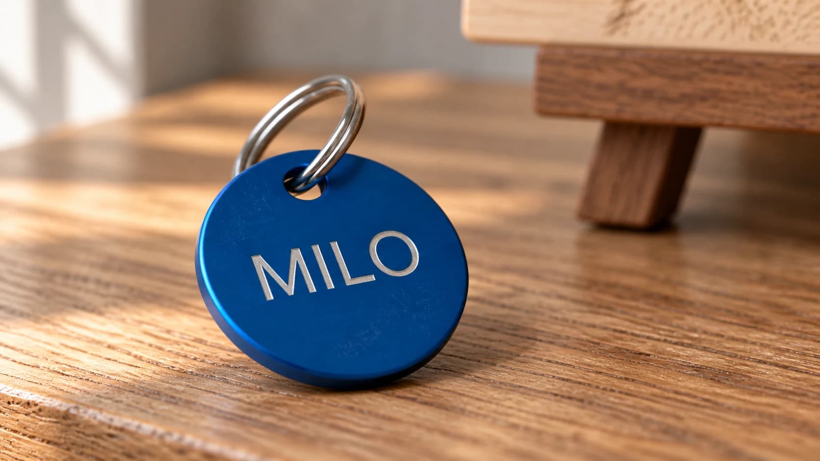 Det samme blå MILO-kæledyrsskilt med en ægte splitring gennem hullet