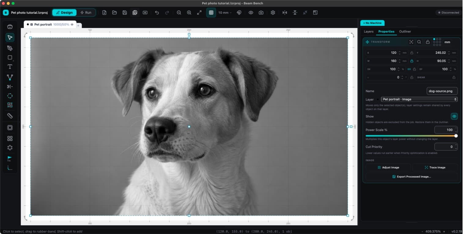 Una foto importada en Beam Bench, convertida a escala de grises en una capa de imagen